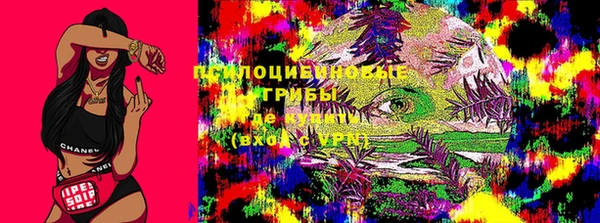 ALPHA PVP Алексин