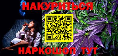 сатива Будённовск