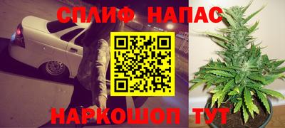 сатива Будённовск