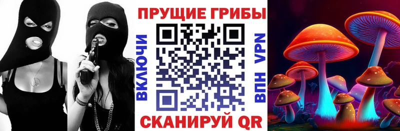 Галлюциногенные грибы Psilocybe Бахчисарай
