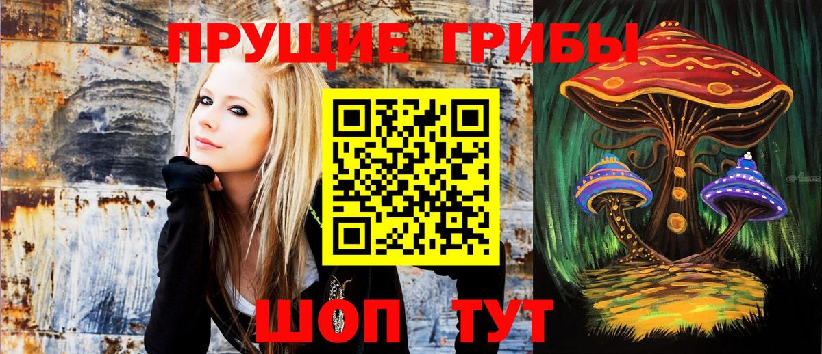 Бахчисарай  Псилоцибиновые грибы Psilocybe  Вход с VPN  Псилоцибиновые грибы ЛСД 