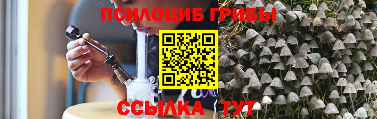 Псилоцибиновые грибы Cubensis  Бахчисарай 